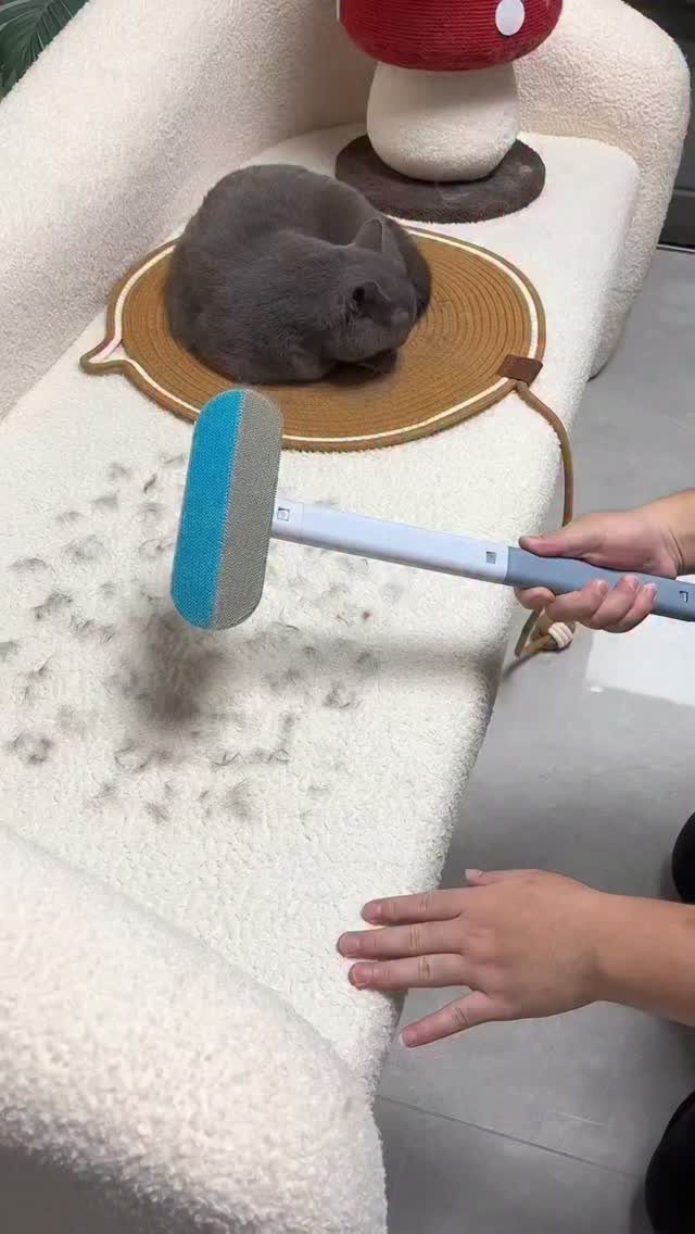 A person uses a blue handheld tool to remove grey pet hair from a white sofa.