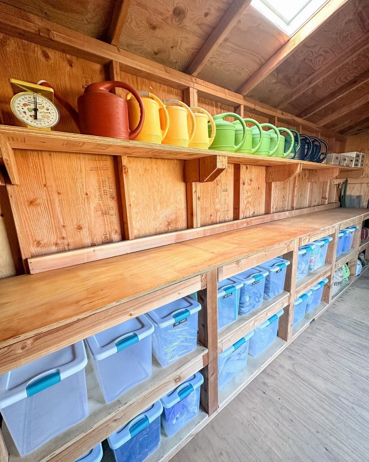 14 Shed Organization Ideas for a Tidy, Functional Space 2 Wooden shed shelves holding colorful watering cans and clear plastic storage bins on a workbench.